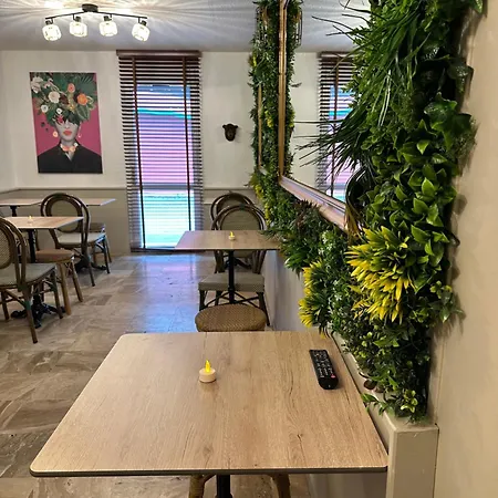 Ostal Universite - Sure Collection By Western